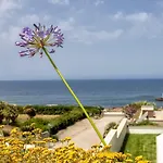 The Seashore - Residenze Esclusive Vista Mare אלגהרו