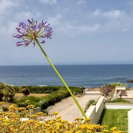 The Seashore - Residenze Esclusive Vista Mare アルゲーロ